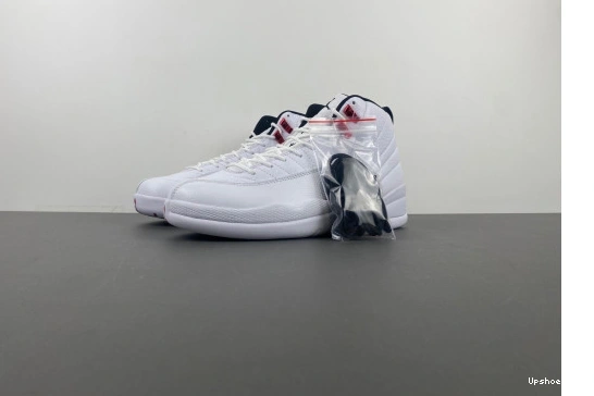 CT8013-106 “Twist” Jordan CT8013-106  12 Air 0606